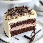 Vanilla-Bean-Chocolate-Cake-Recipe