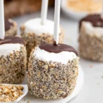 Smores-Marshmallow-Pops-Recipe